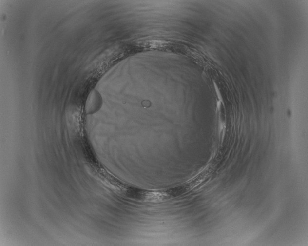 X0000067370222200604211550