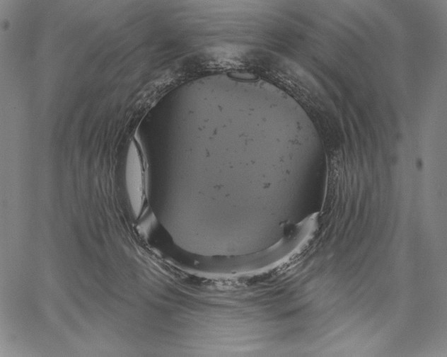 X0000067370223200604211550