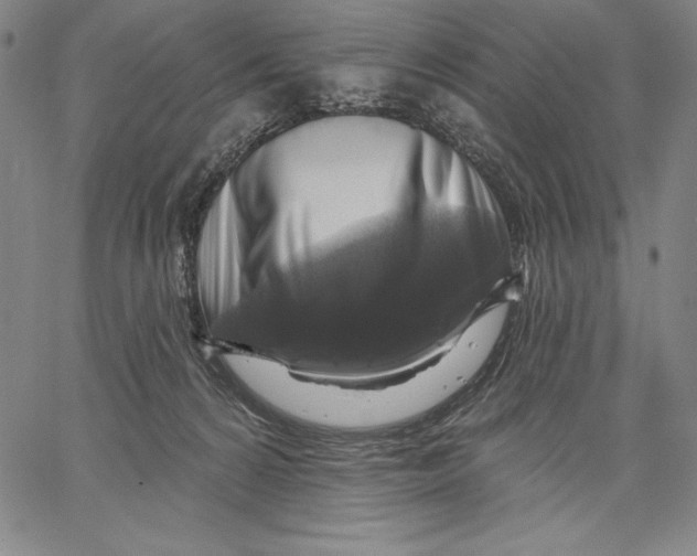 X0000067370224200604211550