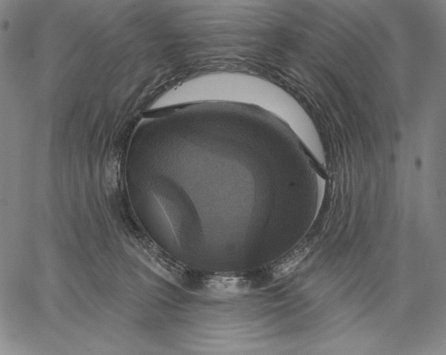 X0000067370227200604211550