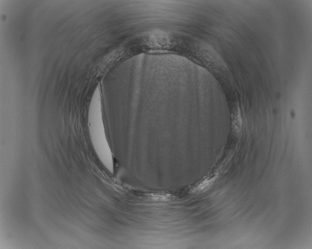 X0000067370233200604211550
