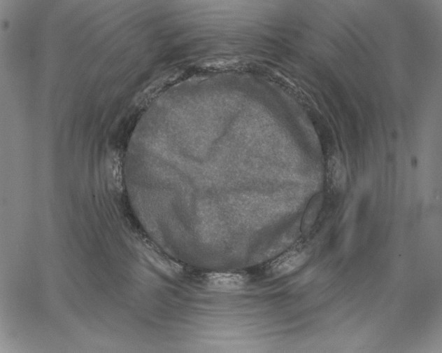 X0000067370234200604211550
