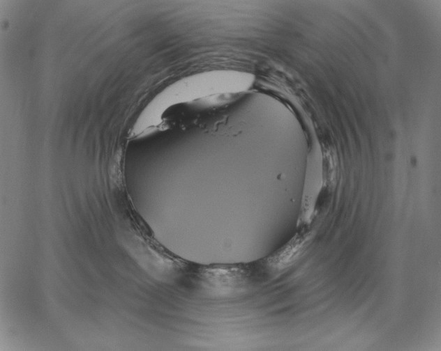 X0000067370239200604211550