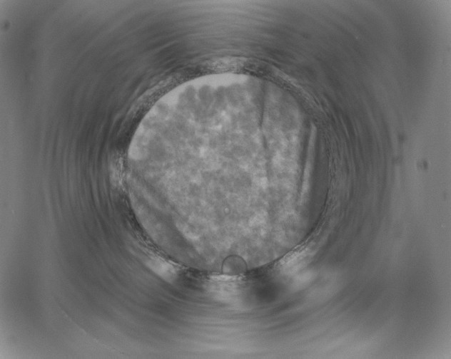 X0000067370240200604211550