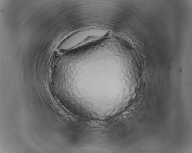 X0000067370241200604211549