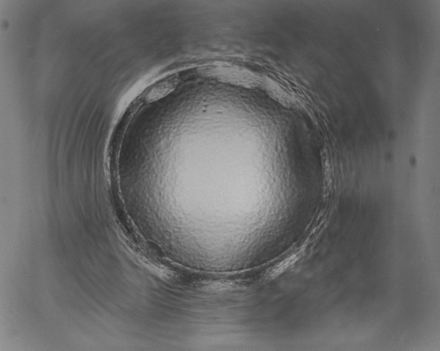 X0000067370246200604211549