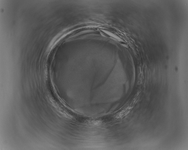 X0000067370247200604211549
