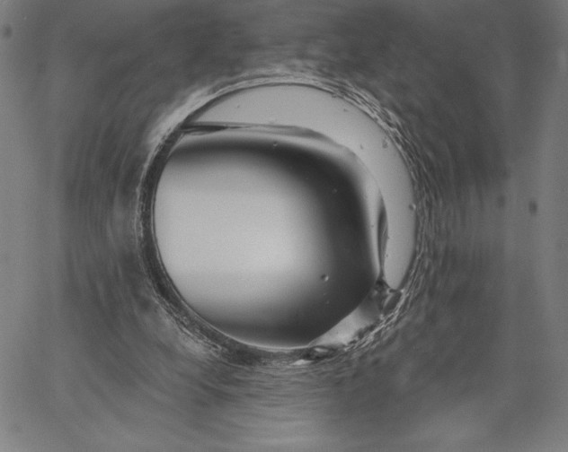 X0000067370248200604211549