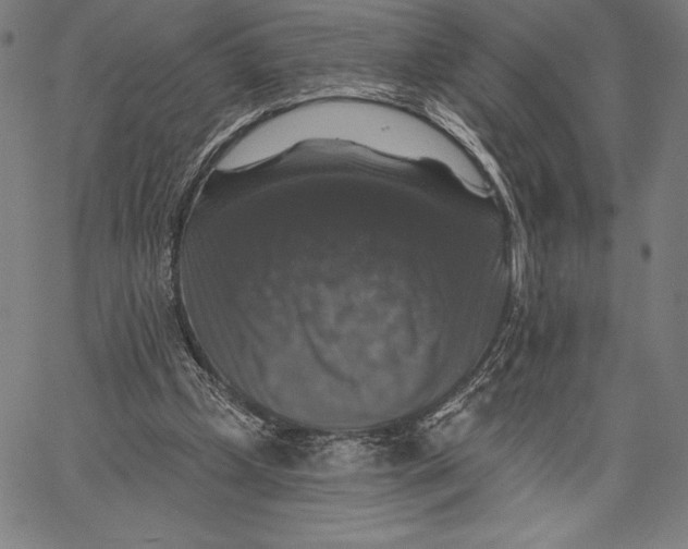 X0000067370249200604211549