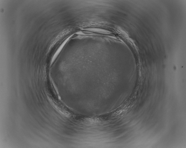 X0000067370250200604211549