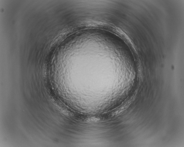 X0000067370257200604211549