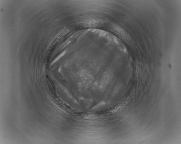 X0000067370258200604211549