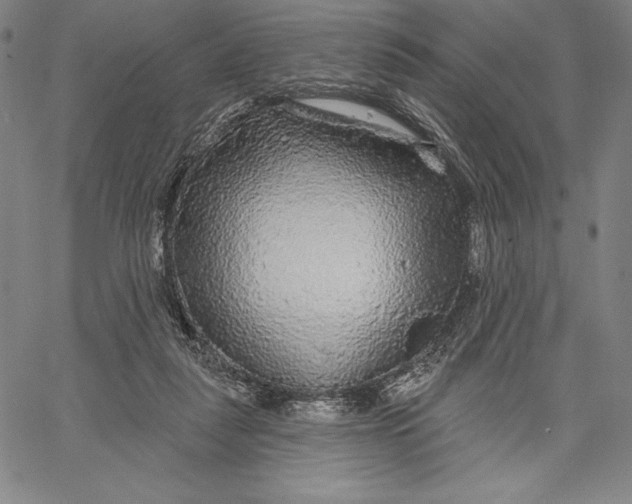 X0000067370259200604211550
