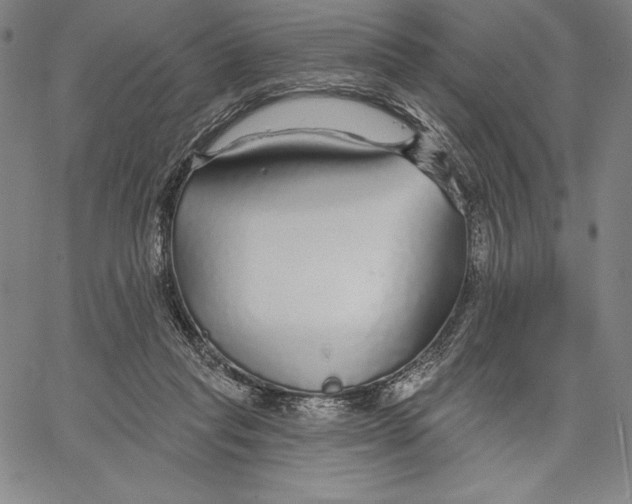 X0000067370261200604211550