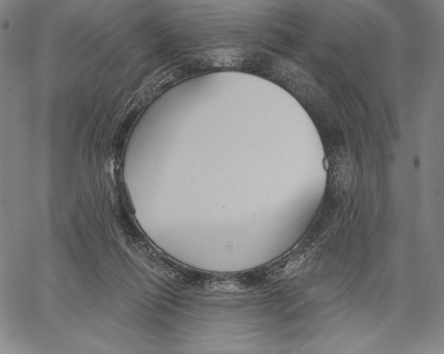 X0000067370262200604211550