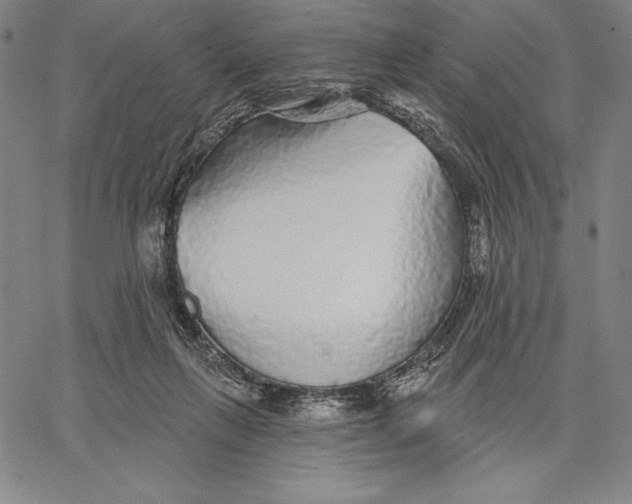 X0000067370263200604211550