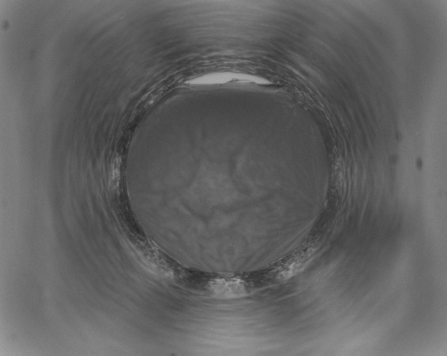 X0000067370271200604211550