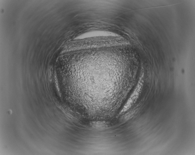 X0000067370273200604211550