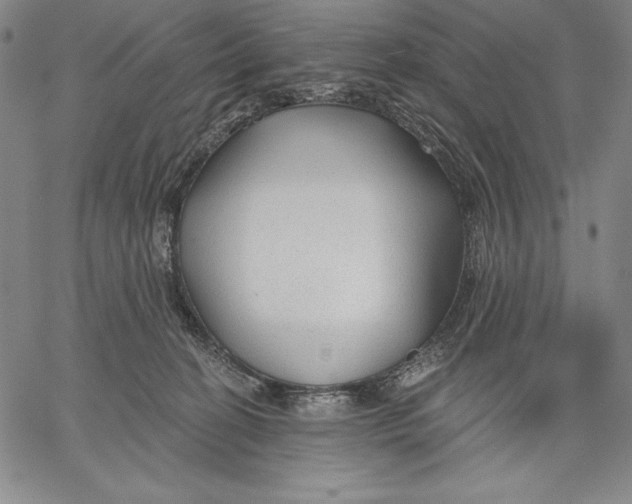 X0000067370274200604211550