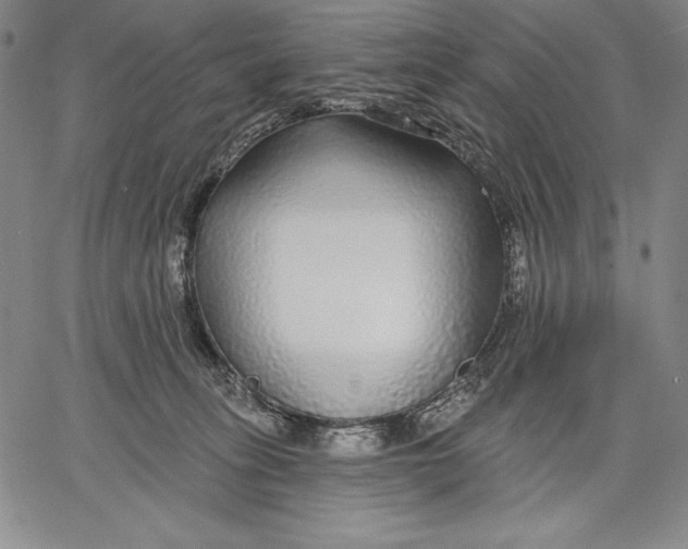 X0000067370275200604211550