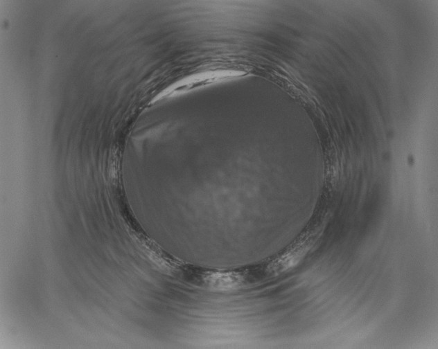 X0000067370277200604211550