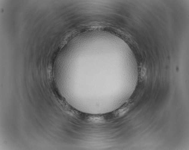 X0000067370283200604211550