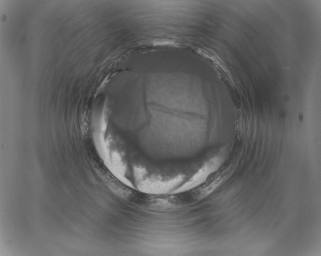 X0000067370285200604211550