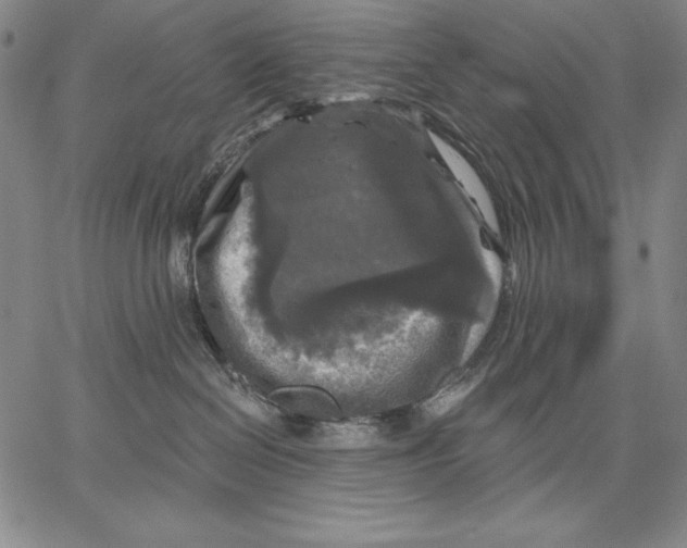 X0000067370286200604211550