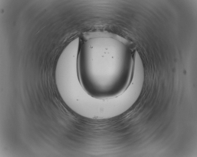 X0000067370287200604211550