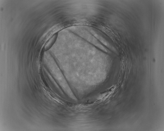 X0000067370290200604211549