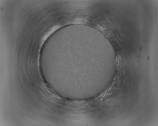 X0000067370292200604211549