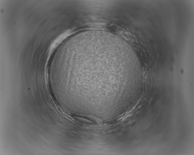 X0000067370294200604211549