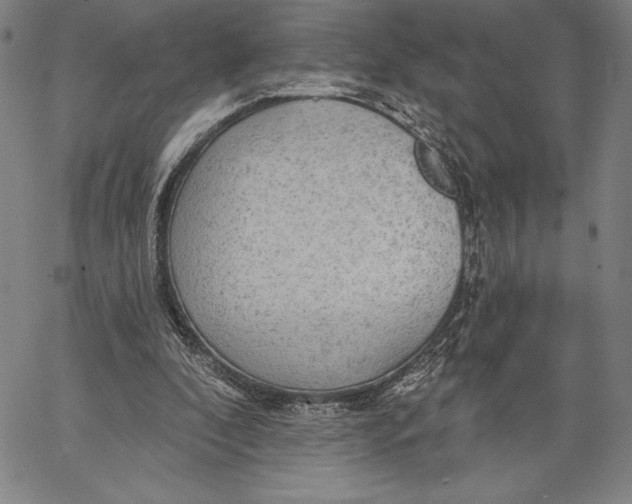 X0000067370296200604211549