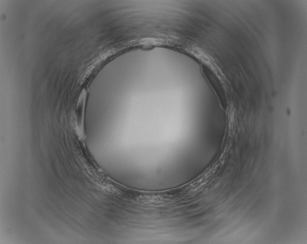 X0000067370297200604211549