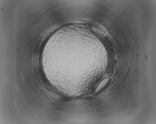 X0000067370299200604211549