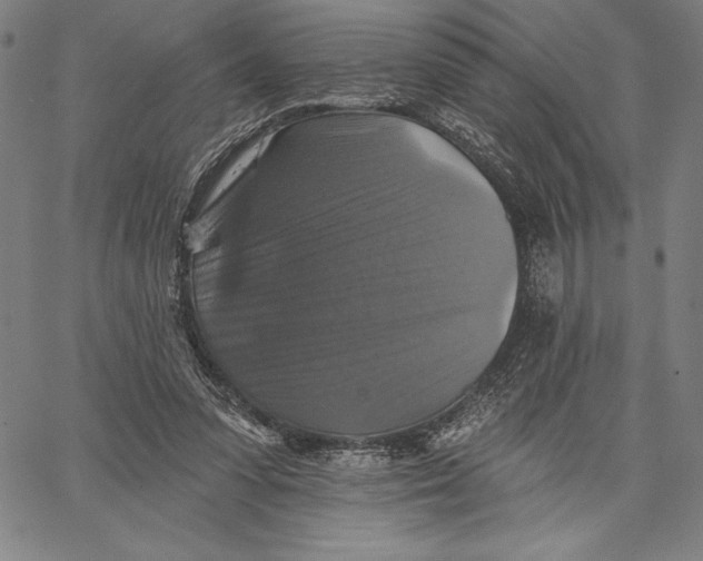 X0000067370303200604211549