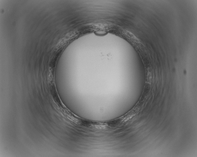 X0000067370318200604211549