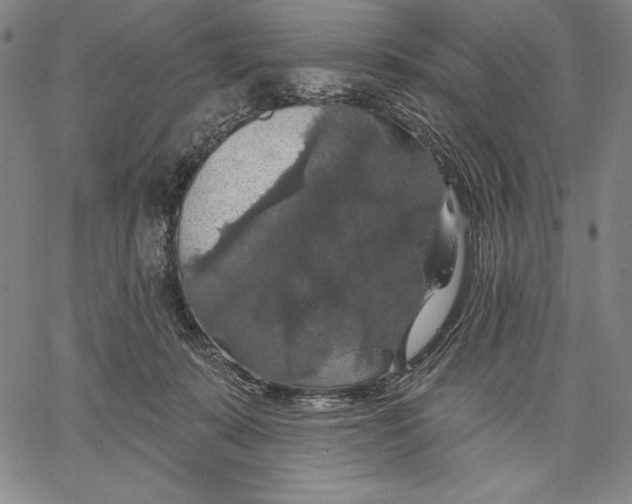 X0000067370319200604211549