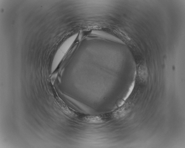 X0000067370322200604211549