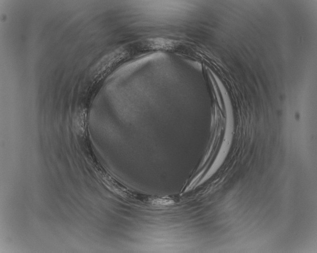 X0000067370325200604211549