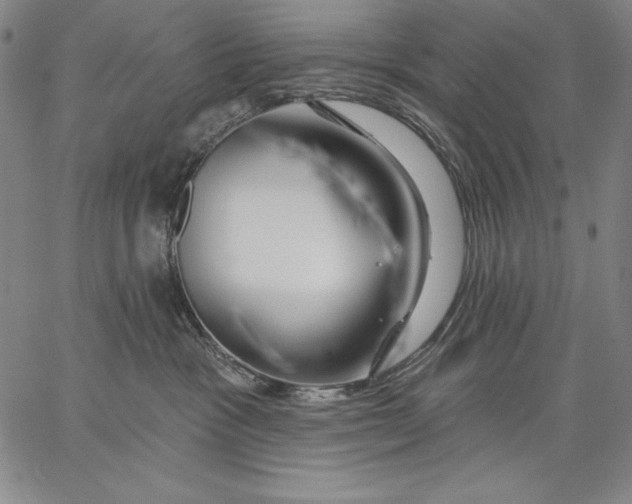 X0000067370333200604211548