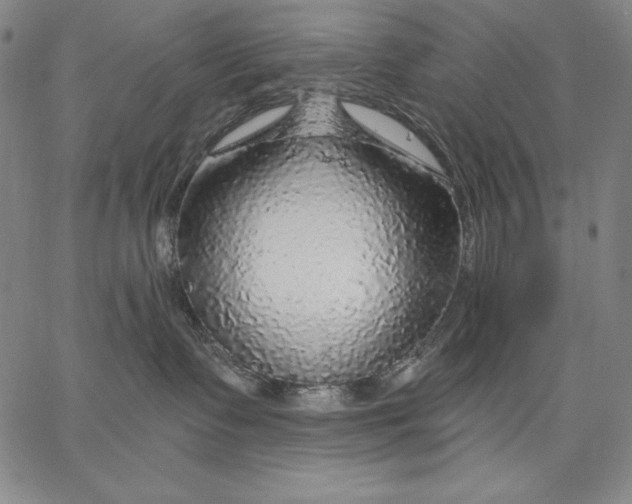 X0000067370335200604211548