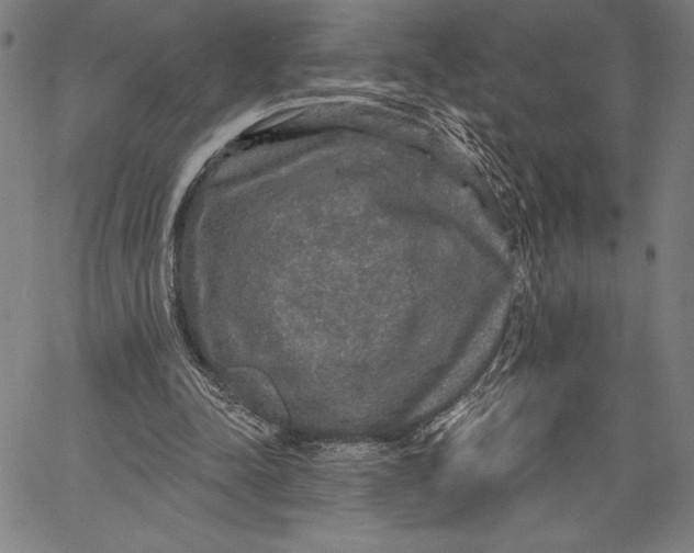 X0000067370342200604211548