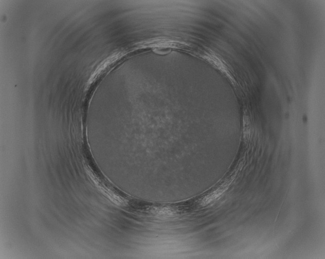 X0000067370349200604211548