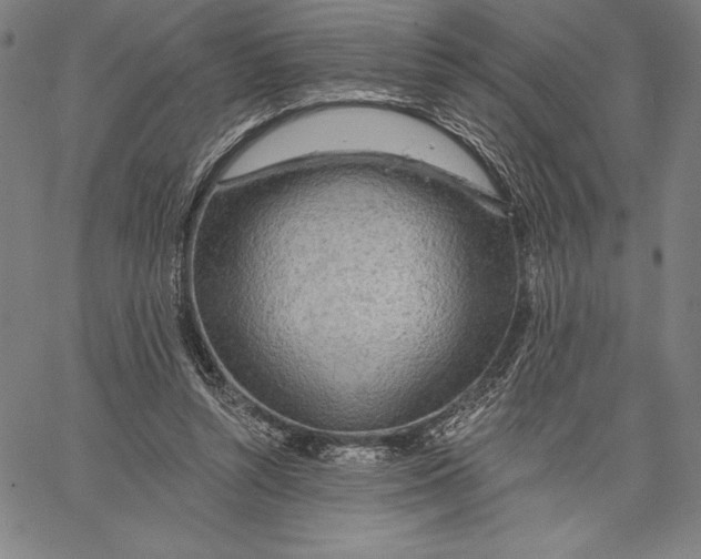 X0000067370352200604211548