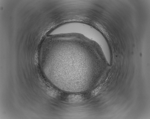 X0000067370354200604211548