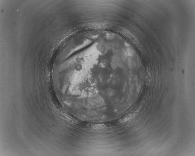 X0000067370355200604211548