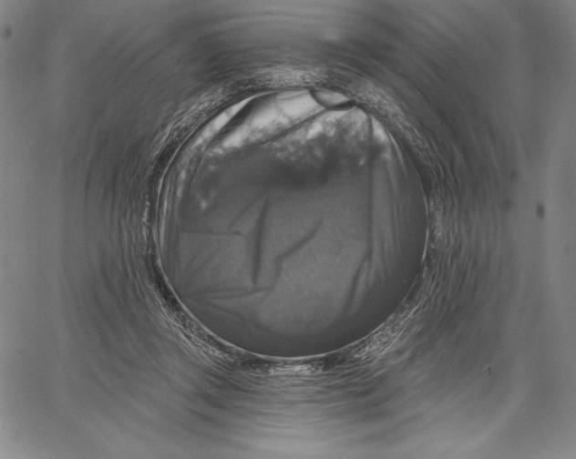 X0000067370357200604211548