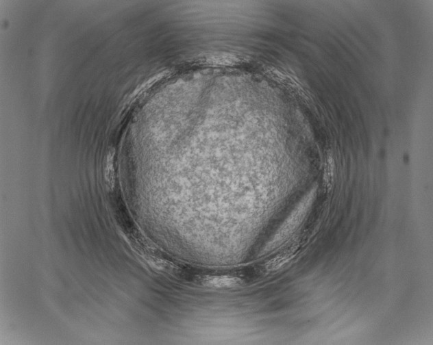 X0000067370360200604211548