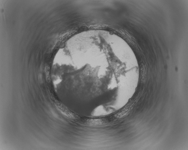 X0000067370361200604211548